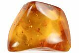 Fossil Spider Web With Insect Leg & Mites In Baltic Amber #123388-3